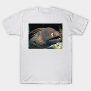 Bad Joke Eel Meme T-Shirt